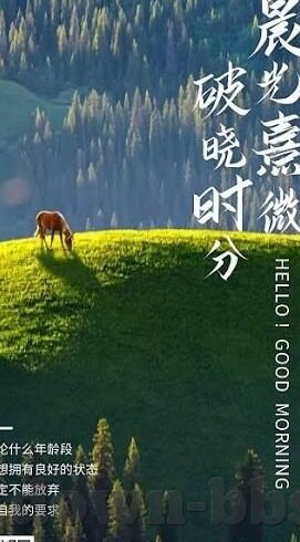英甲足球比分直播-英甲赛场风云变幻，实时比分直播背后的激情与悬念